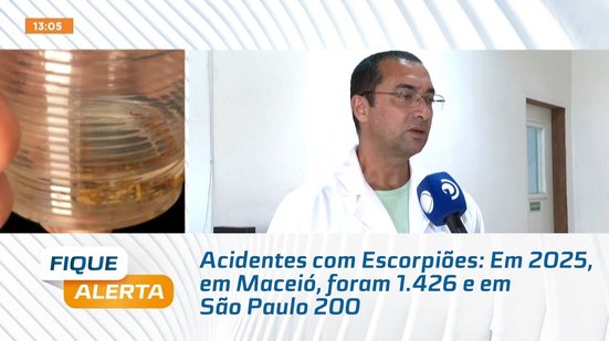 Acidentes com Escorpiões: Em 2025, em Maceió, foram 1.426 e em São Paulo 200