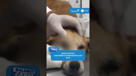 🚨Cachorro é encontrado com tiro no olho e caso revolta em União dos Palmares #BalançoGeralAL