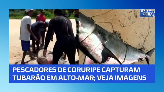 Pescadores de Coruripe capturam tubarão