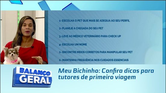 Meu Bichinho: Confira dicas para tutores de primeiro viagem