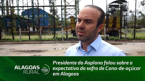 Presidente da Asplana falou sobre a expectativa da safra de Cana-de-açúcar em Alagoas