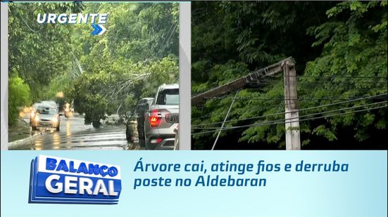 Árvore cai, atinge fios e derruba poste no Aldebaran