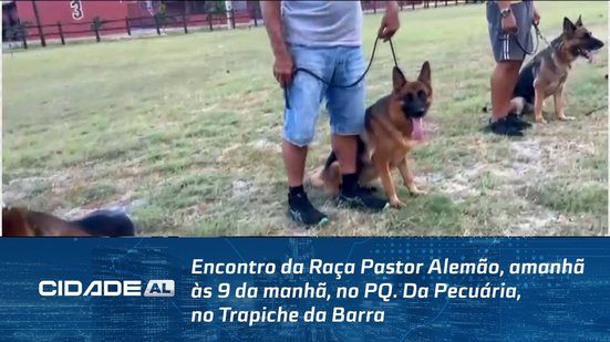 Encontro da Raça Pastor Alemão, amanhã às 9 da manhã, no PQ. Da Pecuária, no Trapiche da Barra