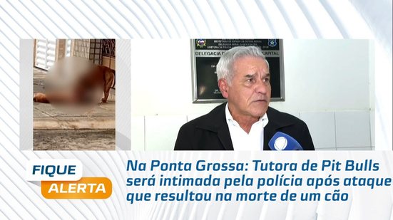 Tutora de Pit Bulls será intimada pela polícia após ataque que resultou na morte de um cão