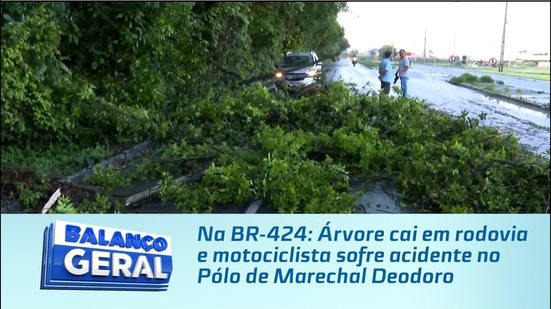 Na BR-424: Árvore cai em rodovia e motociclista sofre acidente no Pólo de Marechal Deodoro