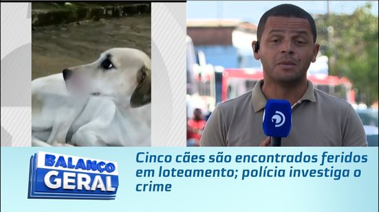 Cinco cães são encontrados feridos em loteamento; polícia investiga o crime