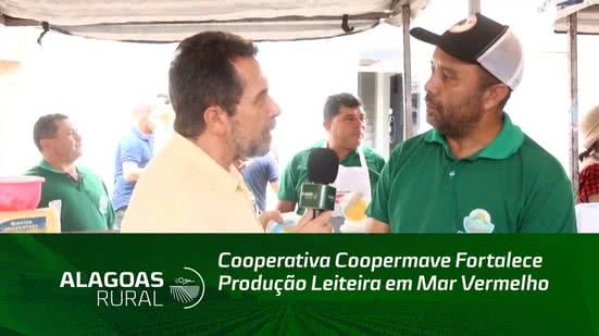 Cooperativa Coopermave Fortalece Produção Leiteira em Mar Vermelho