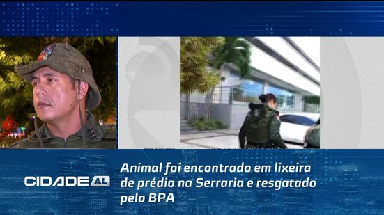 Animal foi encontrado em lixeira de prédio na Serraria e resgatado pelo BPA