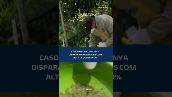Alerta em Alagoas: casos de chikungunya crescem quase 350% em janeiro #CidadeAL