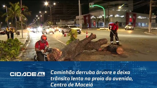Caminhão derruba árvore e deixa trânsito lento na praia da avenida, centro de Maceió