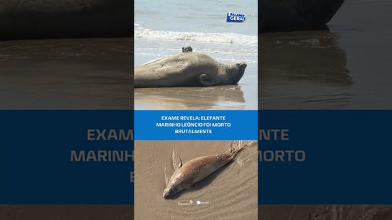 Revolta: exame indica que Leôncio foi morto de forma brutal #BalançoGeralAL