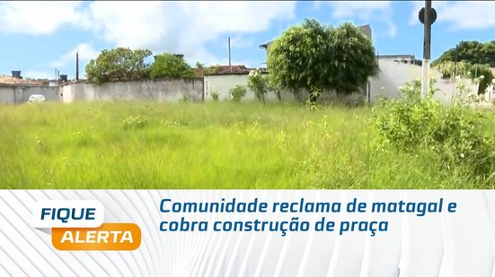 Comunidade reclama de matagal e cobra construção de praça