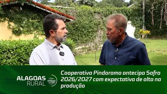 Cooperativa Pindorama antecipa Safra 2026/2027 com expectativa de alta na produção