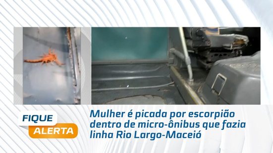 Mulher é picada por escorpião dentro de micro-ônibus que fazia linha Rio Largo-Maceió