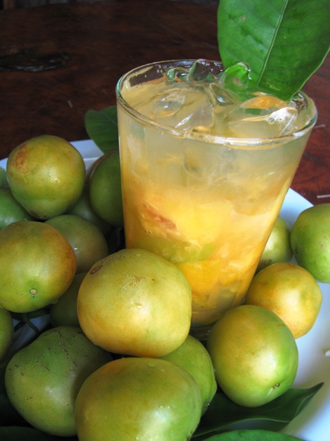 Nota 10: caipiroscas de frutas do Divina Gula 