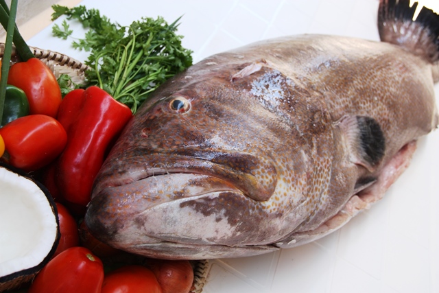 Peixe sirigado pescado na praia do Peba é bem tratada na Companhia do mar