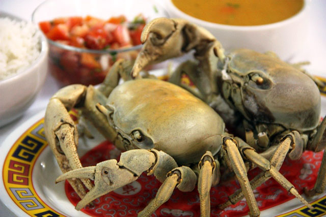 há mais de 10 anos tornou-se uma tradição comer os caranguejos no Dragão