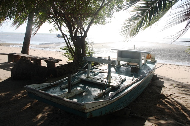 O delicioso quintal de Tia Marlene na praia de São Bento, em Maragogi