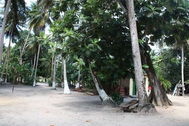 Paz: sitio onde está o bar do Doge, no povoado em Malhado, Marechal Deodoro