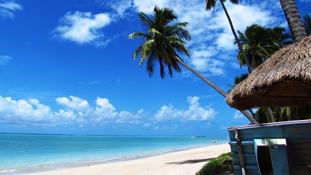 O passeio de veleiro começa na Praia Ponta de Mangue em Maragogi