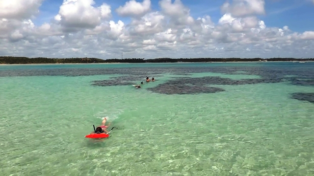 No passeio de veleiro tem a melhor visão das piscinas naturais de Maragogi