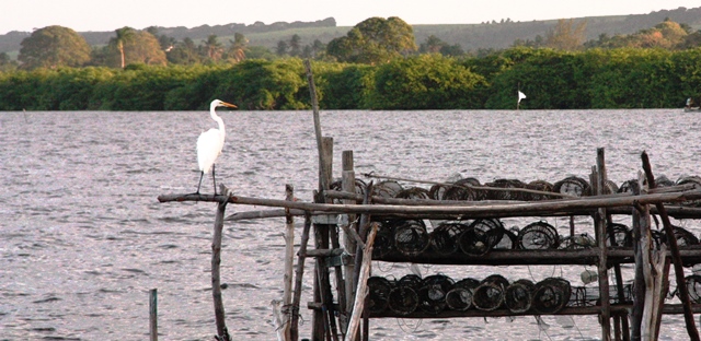 Vista do Bar 20 V, na lagoa Manguaba, na cidade histórica de Marechal Deodoro