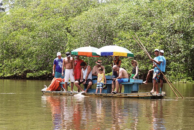 Respeito, turistas observam e fotografam o peixe boi no Rio Tatuamunha