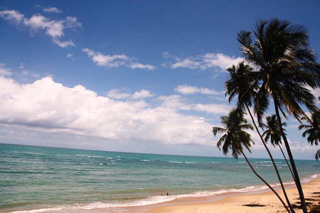 Praia de Riacho Doce, em Maceió, deserta e linda