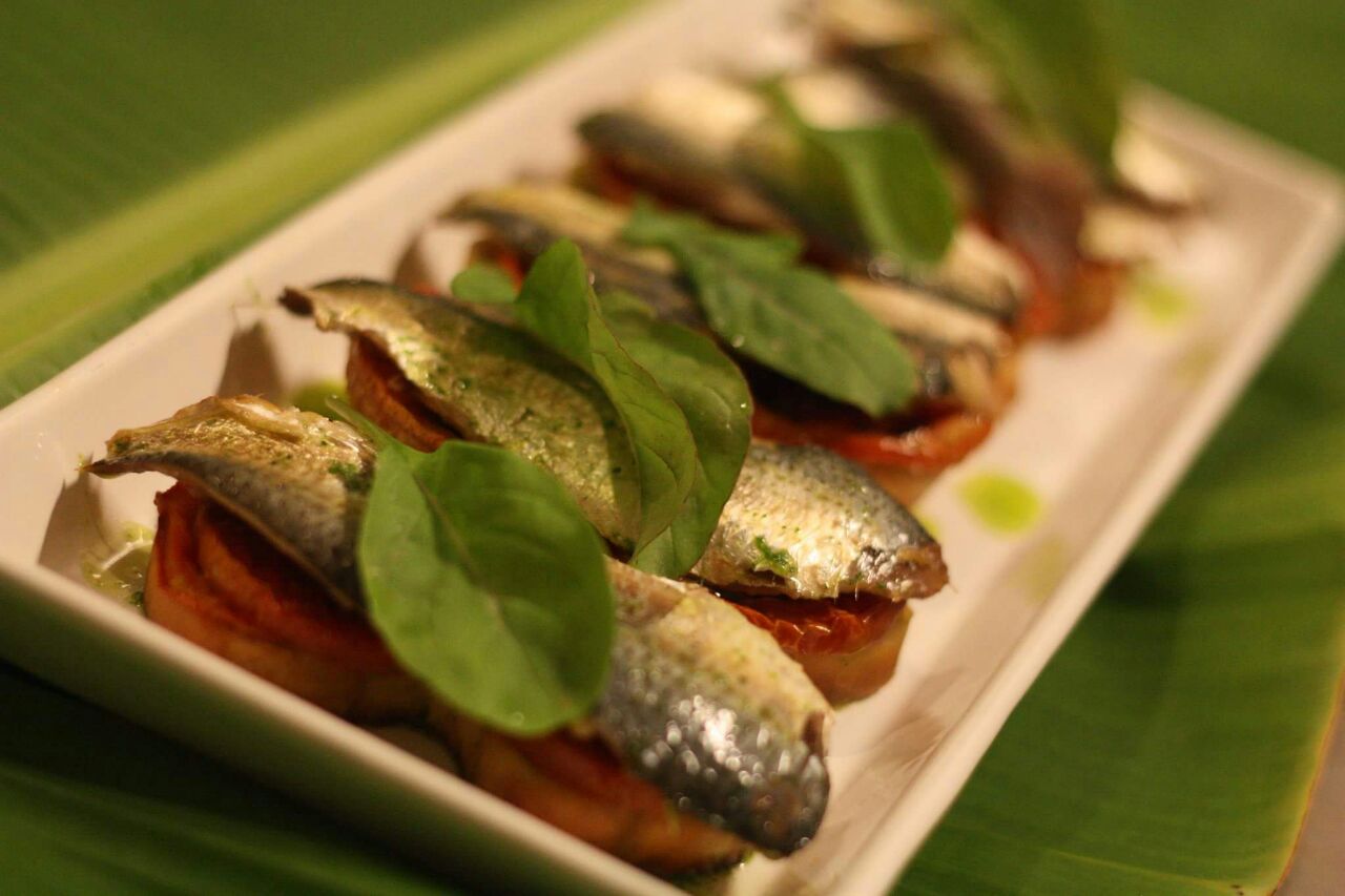 Bruschettas de sardinhas no azeite e tomates grelhados