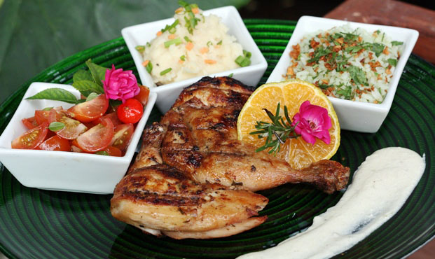 Frangote de Marcha Lenta de 2008