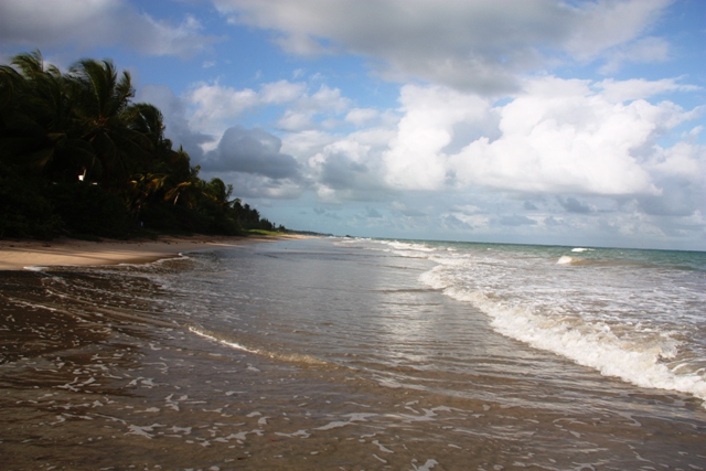 Praia do Toque, em São Miguel dos Milagres cercada de coqueiros
