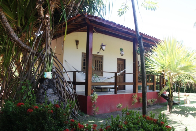 Raízes longas lembram plantas de mangue, mas são da Malásia, conhecida como arvores que andam