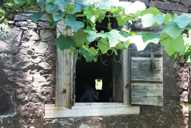 Roteiro Caminhos das Pedras em Bento Gonçalves com vinhos, gastronomia e cultura