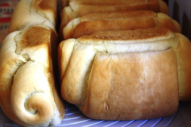 Pães italianos da família Ra