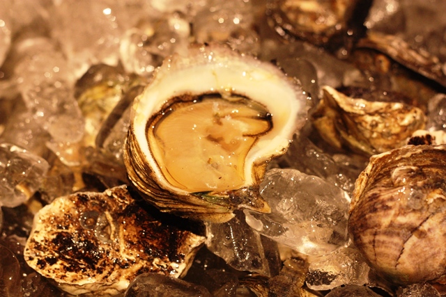Ostras frescas apenas pede pingos de limão e azeite
