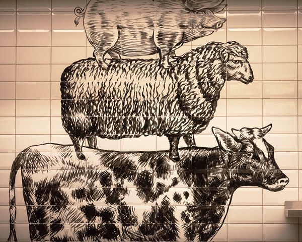 Estrelas do Divina Gula pela ótica do artista Suel. Foto: @ruinagaefotografia