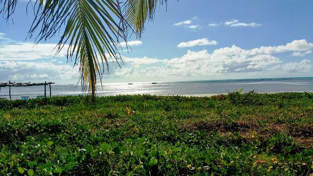 Praia do Camacho, Maragogi