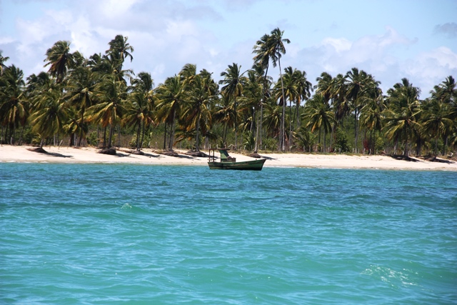 Para chegar no mangue do Rio Una, só é possível na maré alta