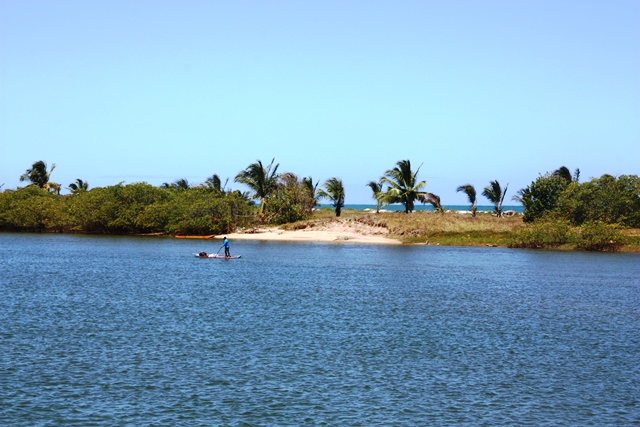 Passeio de mangue pelo Rio Una