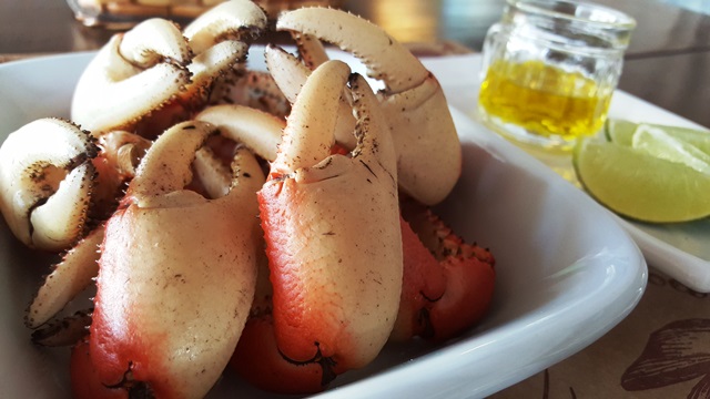 Patas de caranguejos bem nutridas