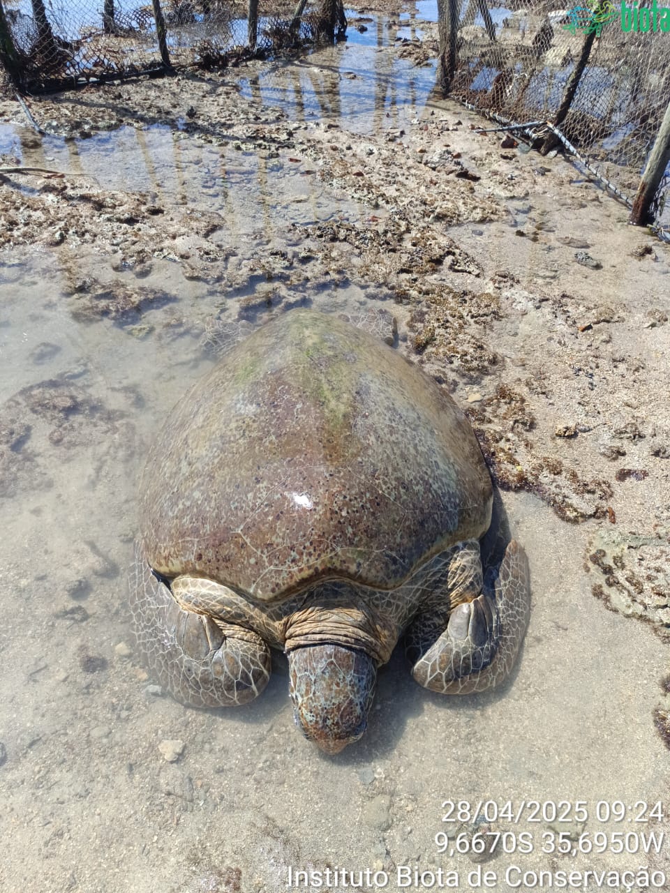 Divulgação/Biota