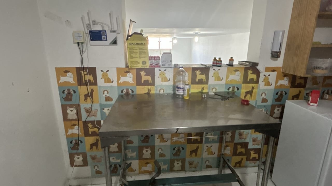 clinica-veterinaria-interditada-em-sao-jose-da-tapera