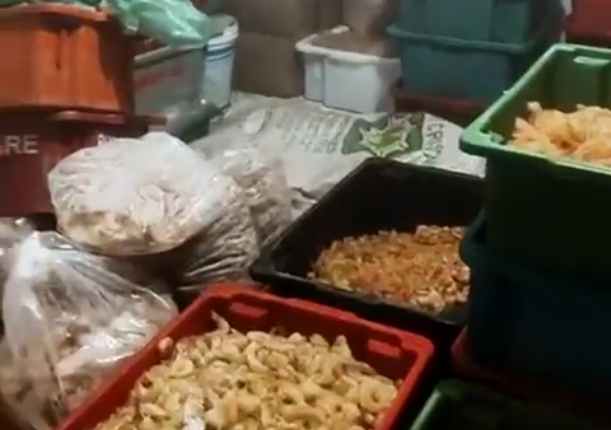 A organização criminosa atuava no comércio de frutos do mar, principalmente camarões, e atraía investidores com promessas de altos lucros. 