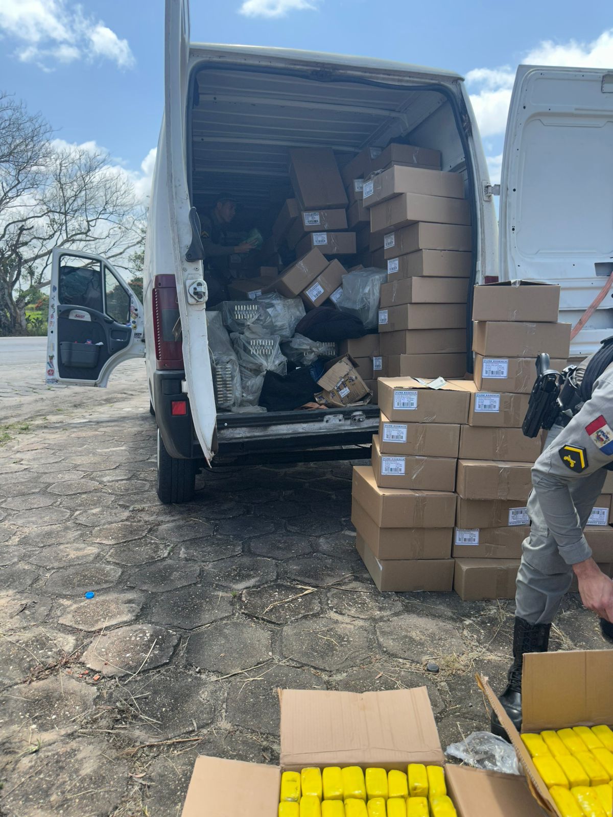 Droga foi apreendida pela Polícia Fazendária, em São Sebastião. Foto: Cortesia ao TNH1