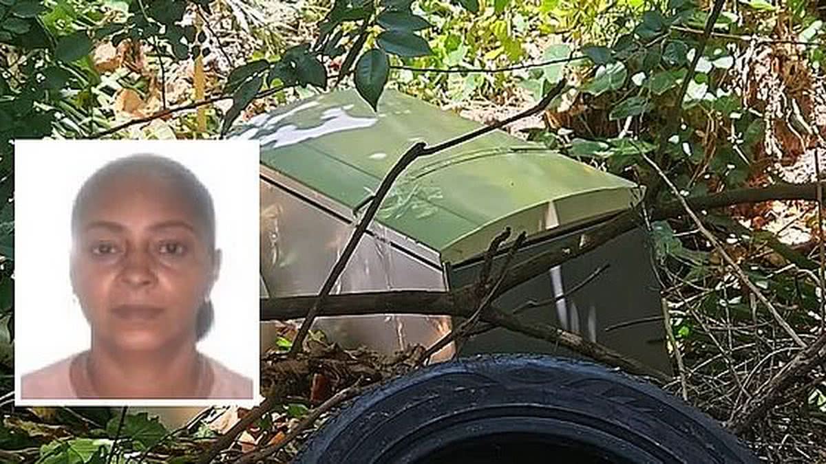 Genro confessou ter matado a sogra que teve corpo encontrado em geladeira