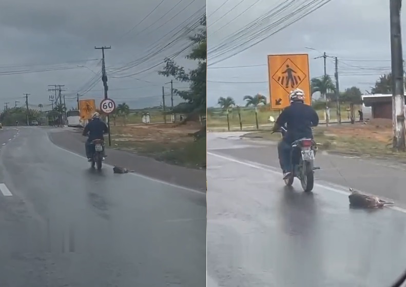 Vídeo mostra cachorro sendo arrastado por motociclista em Rio Largo; dono de veículo é identificado