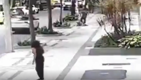 Professora aposentada da UFRJ é baleada em assalto na zona sul do Rio