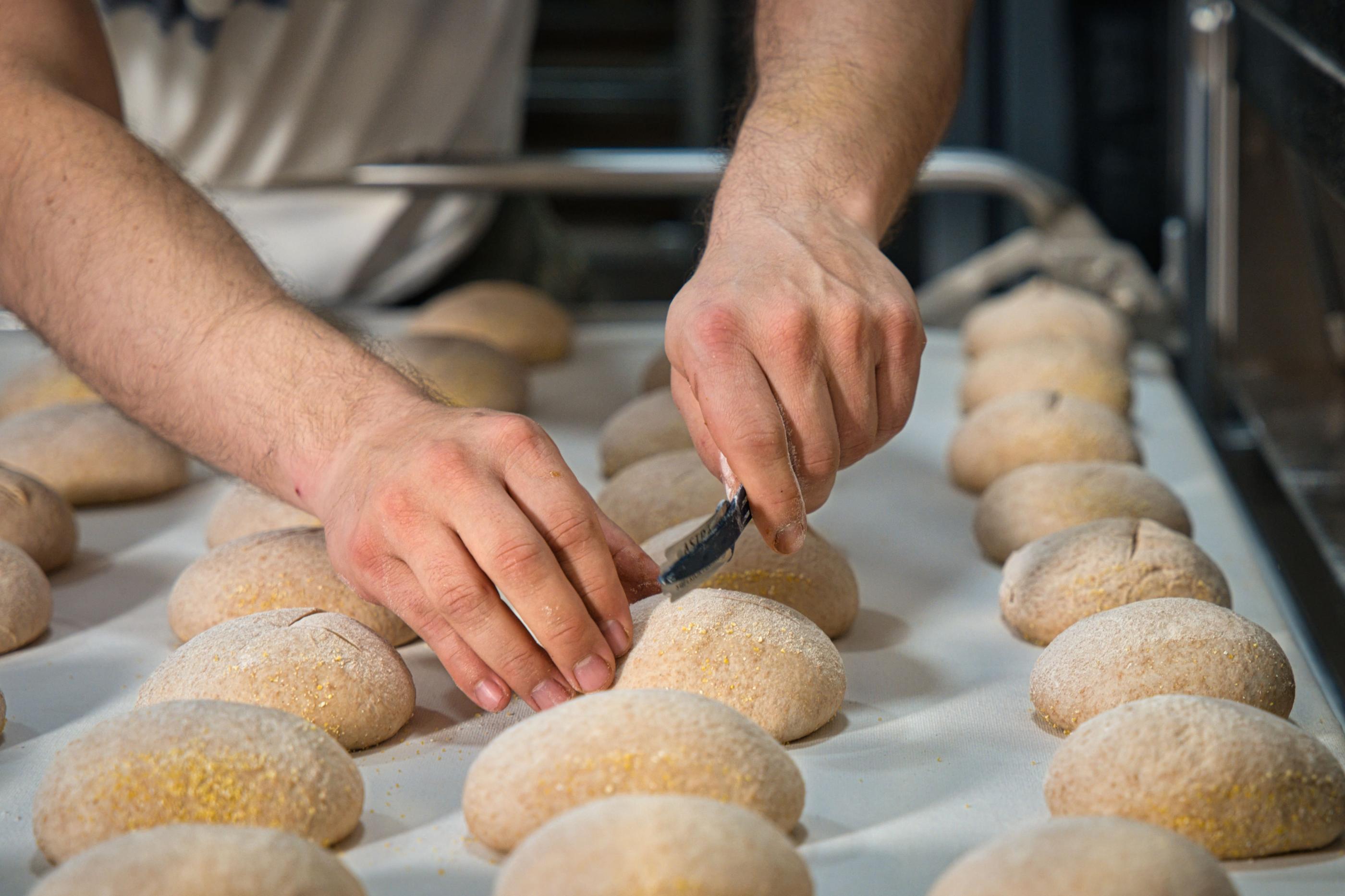Dia do Pão: em dois anos, aberturas empresariais no setor crescem 48% em Alagoas