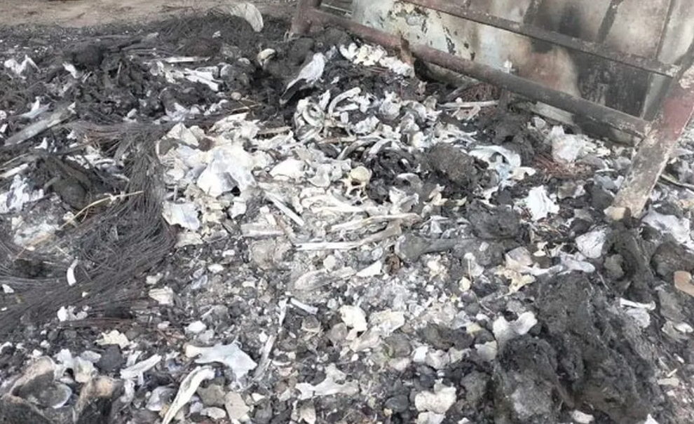 Matador de aluguel diz ter ajudado a incinerar mais de 500 pessoas em rancho usado por cartel mexicano