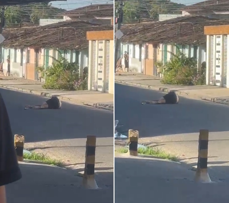 Homem é assassinado a tiros no meio de avenida na Santa Amélia